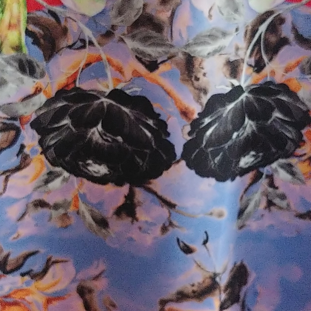 Stunning Clover Canyon Mola Floral Print Dress - Picture 7 of 8